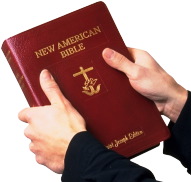 bible
